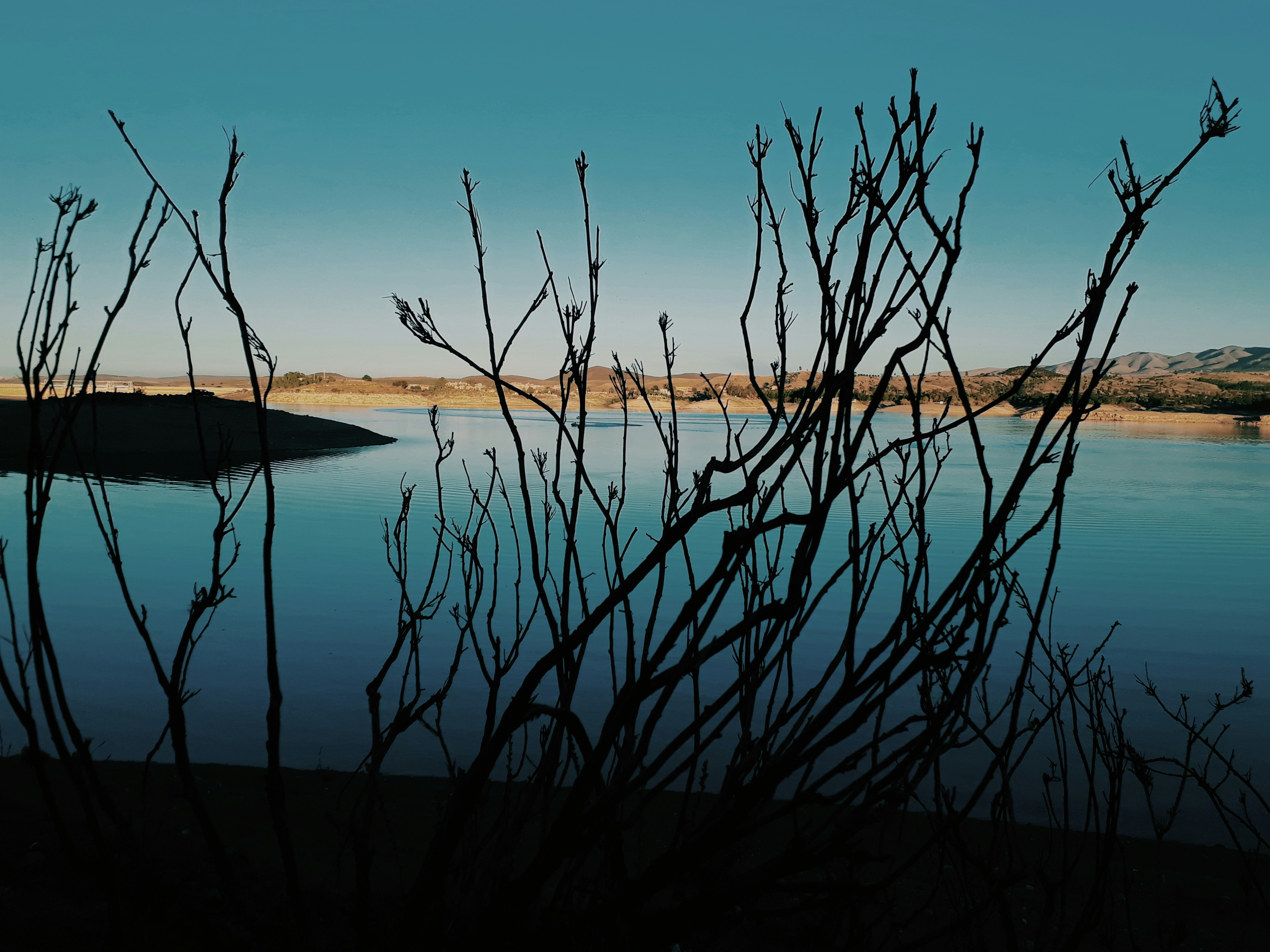 Photo by abdelhamid_az