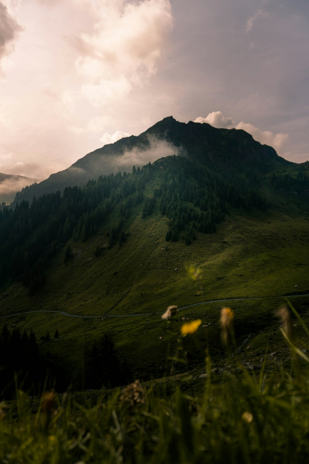 travelers stories about Plain in Salzburg, Austria