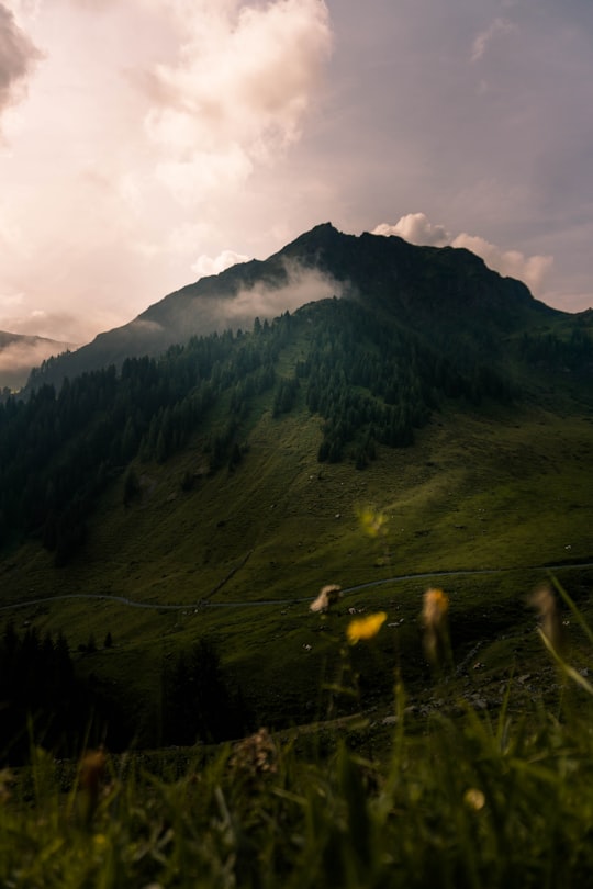 green mountain under cloudy sky during daytime in Salzburg Austria