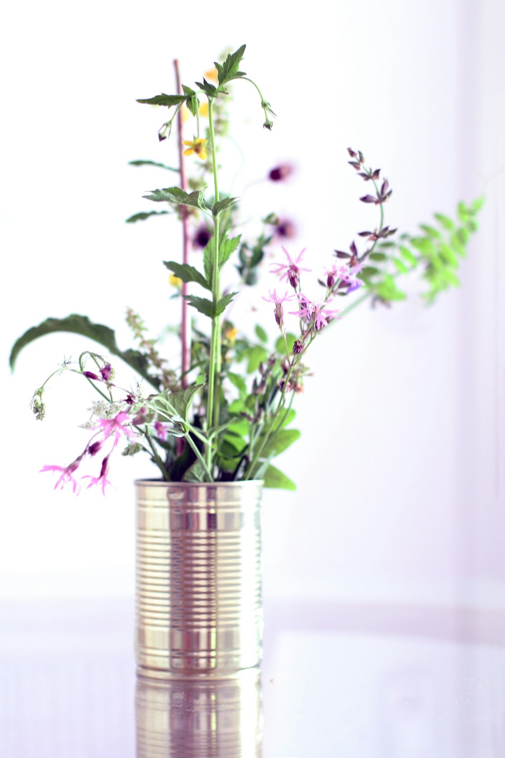 fleurs roses dans un vase en verre transparent