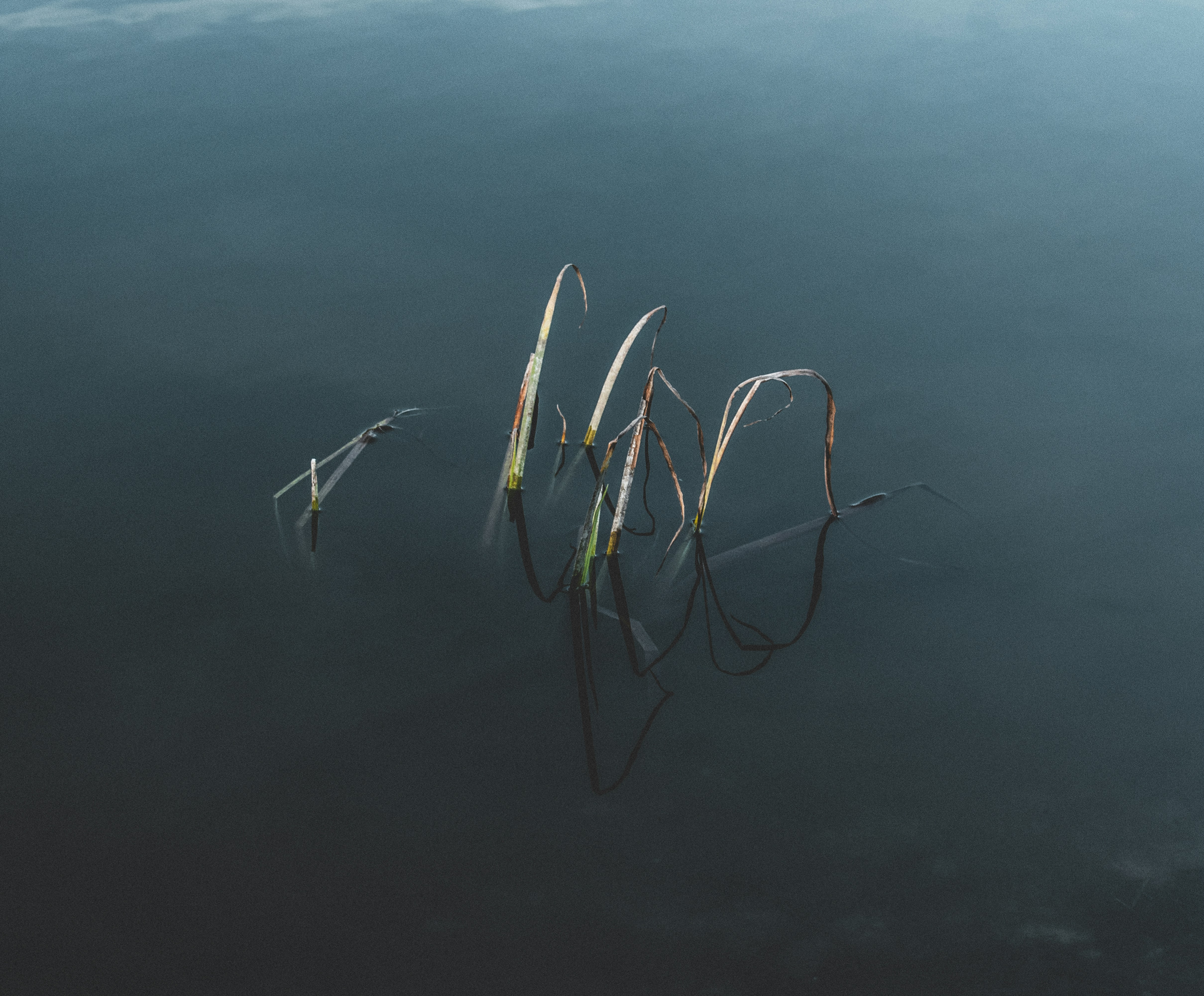 Photo by aurelienthms