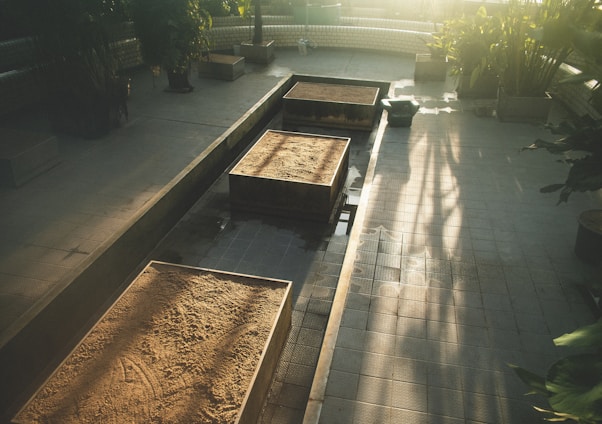 A sunlit interior space with rectangular wooden planters filled with soil is surrounded by tall plants and trees in pots. The light from the windows casts long shadows across the tiled floor, creating a serene and natural atmosphere.