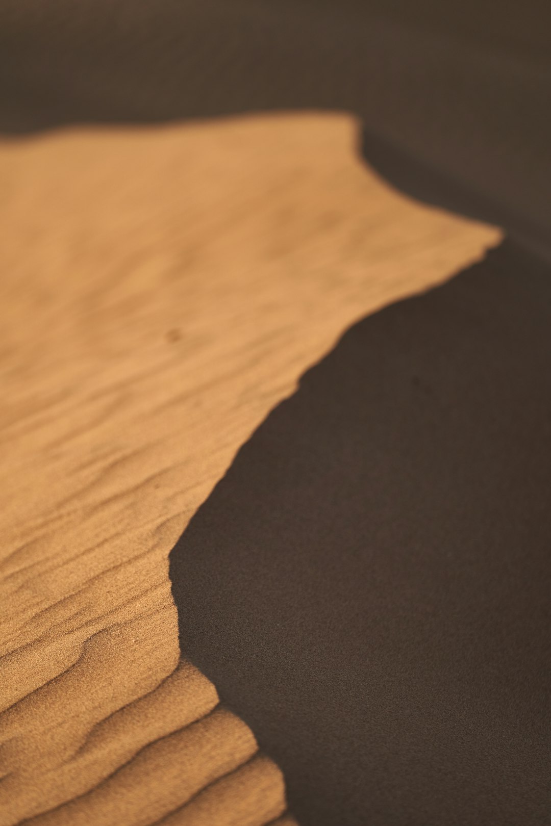 shadow of person on brown wooden floor