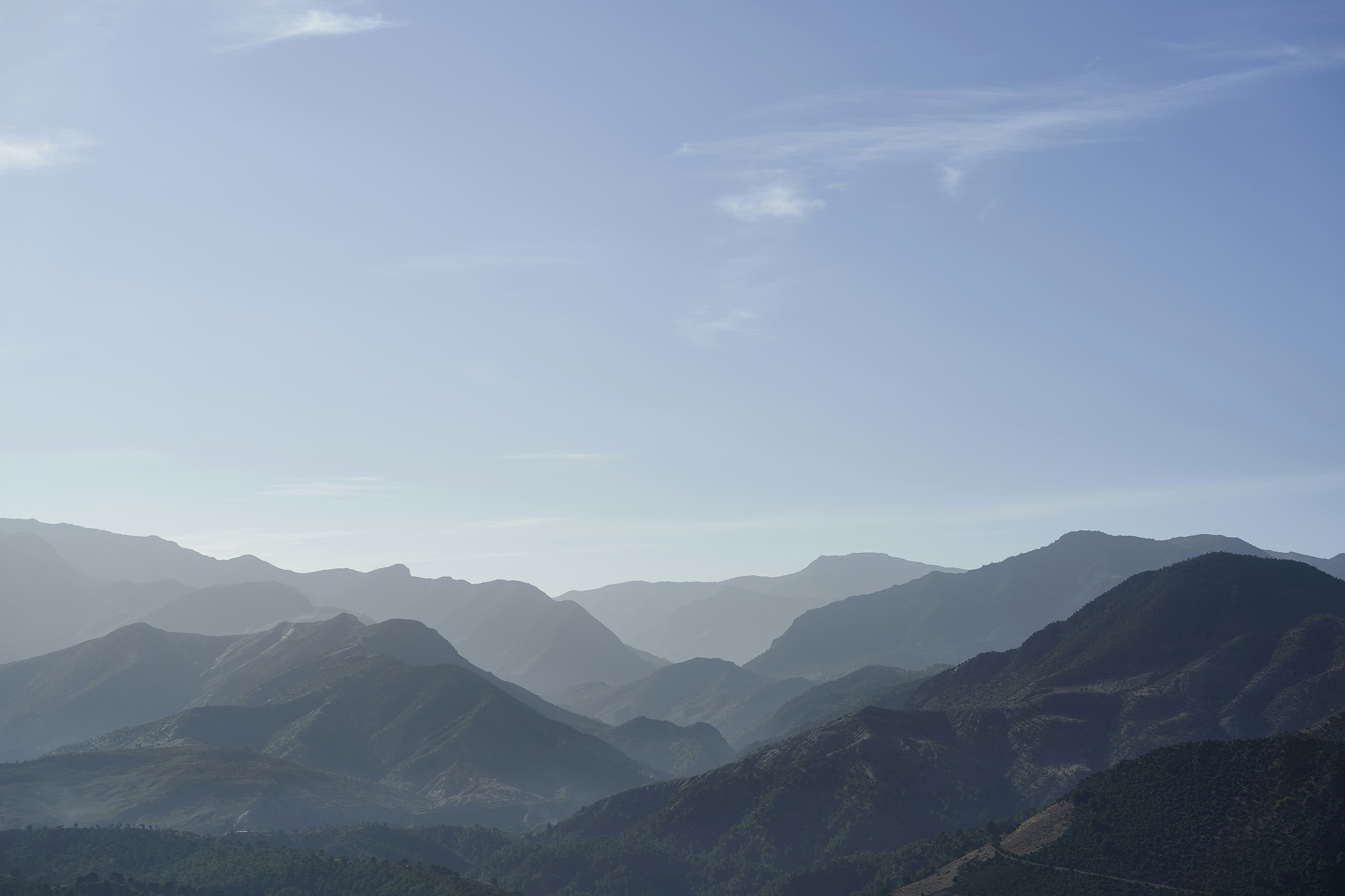 Photo by wolfgang_hasselmann