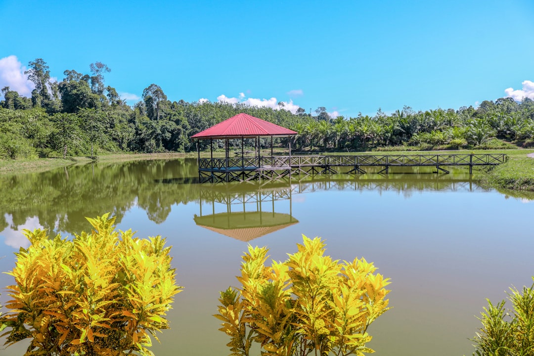 Nature reserve photo spot Bakun Malaysia