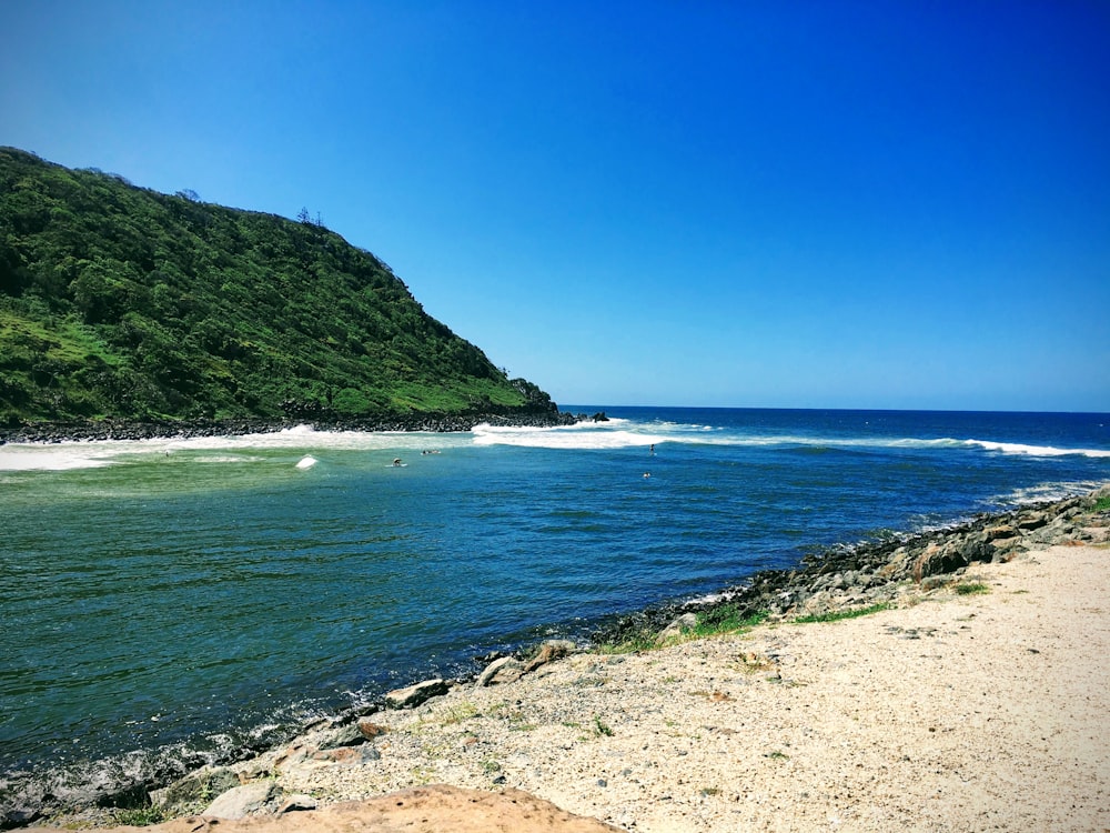 昼間の水域のそばの緑の山