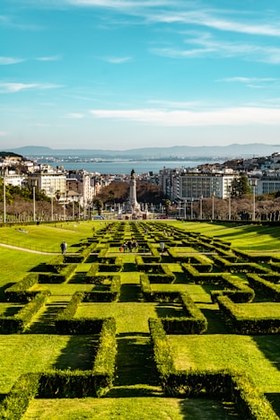 green grass field near city buildings during daytime