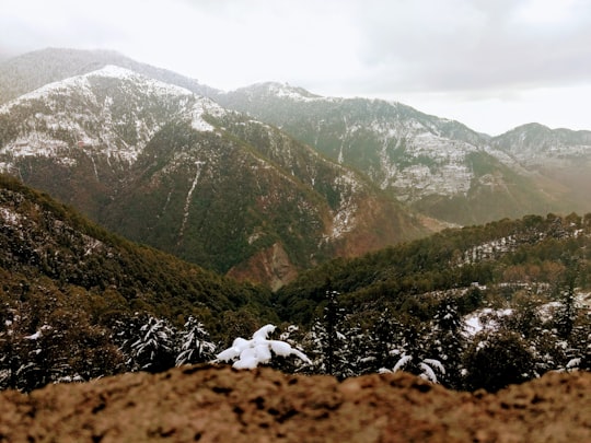 green and brown mountains during daytime in Dharamshala India