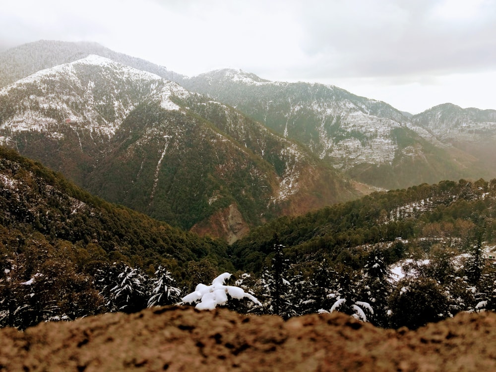 green and brown mountains during daytime