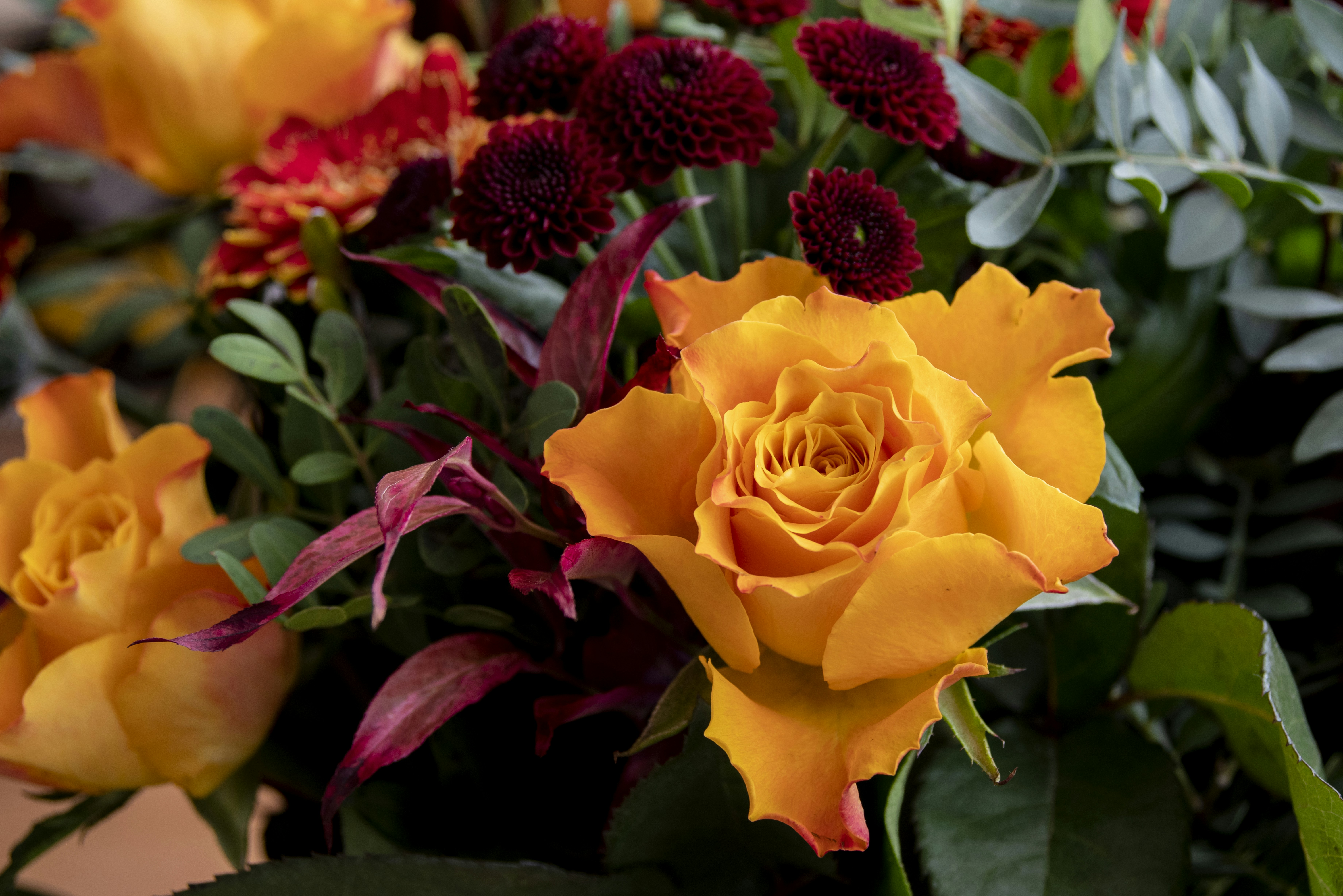 Photo by switch_dtp_fotografie