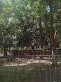 A lush, green forest area with dense foliage and several large trees. A fence is present in the foreground, and there is a sign with the words 'Penangkaran Bulus' in the background. Sunlight filters through the trees, creating a serene and natural atmosphere.