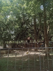 A lush, green forest area with dense foliage and several large trees. A fence is present in the foreground, and there is a sign with the words 'Penangkaran Bulus' in the background. Sunlight filters through the trees, creating a serene and natural atmosphere.
