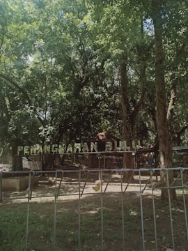A lush, green forest area with dense foliage and several large trees. A fence is present in the foreground, and there is a sign with the words 'Penangkaran Bulus' in the background. Sunlight filters through the trees, creating a serene and natural atmosphere.