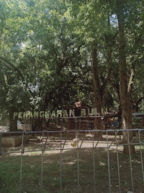 A lush, green forest area with dense foliage and several large trees. A fence is present in the foreground, and there is a sign with the words 'Penangkaran Bulus' in the background. Sunlight filters through the trees, creating a serene and natural atmosphere.