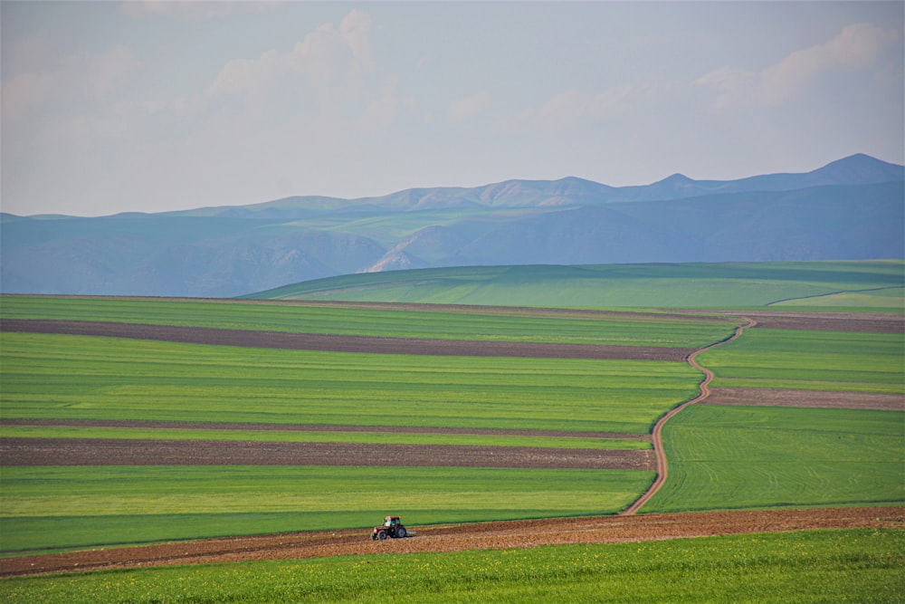 person riding motorcycle on green grass field during daytime