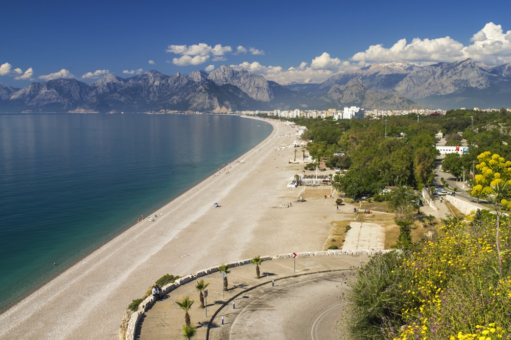 people walking on road near body of water during daytime