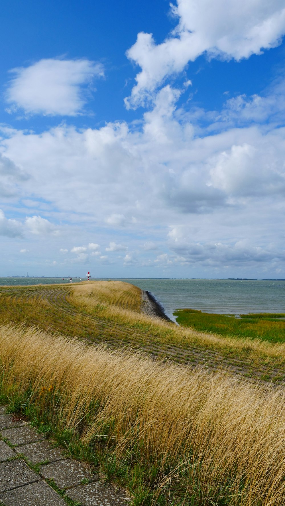 green grass field near sea under white clouds and blue sky during daytime