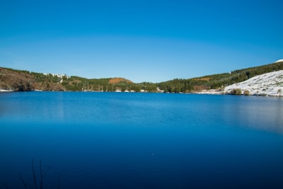 blue body of water near green trees during daytime