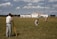 A professional team conducting an environmental assessment in a green field.