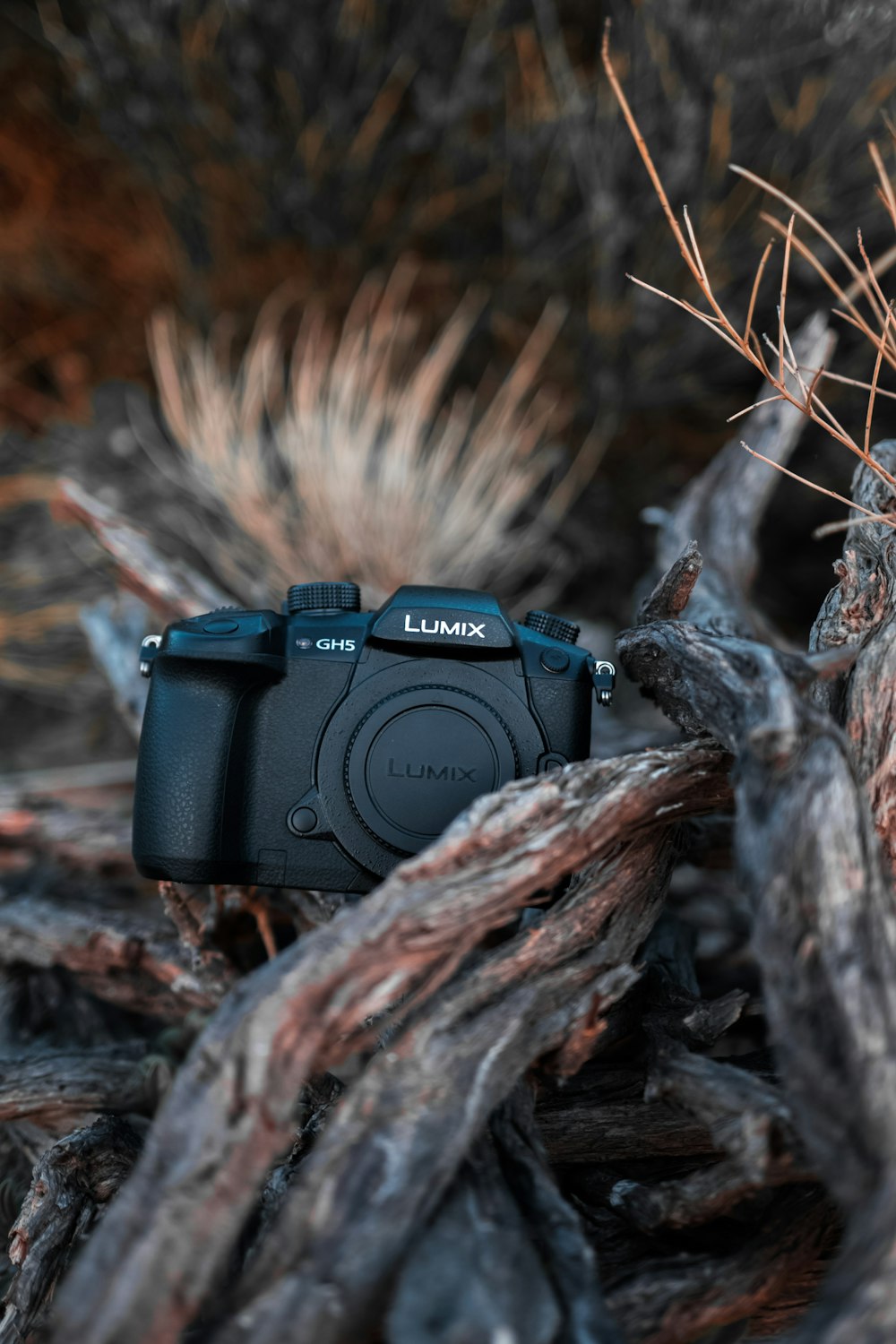 black nikon dslr camera on brown tree branch