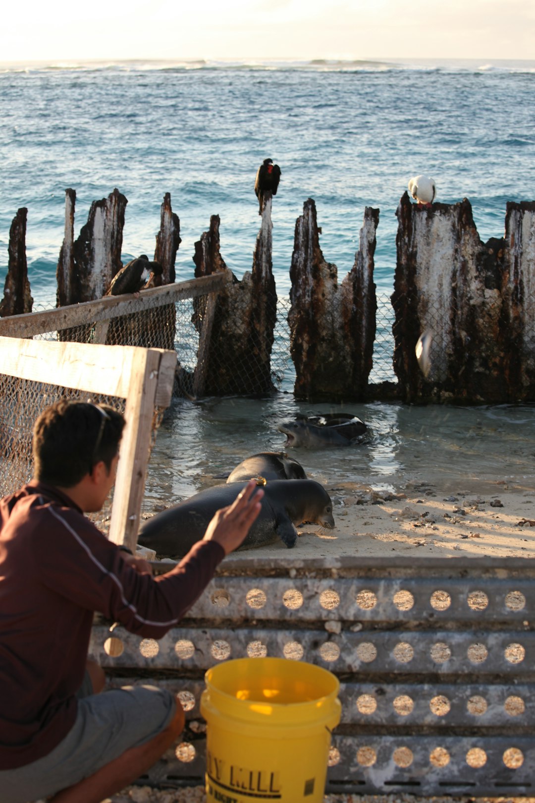 woman in brown t-shirt sitting on brown wooden dock during daytime