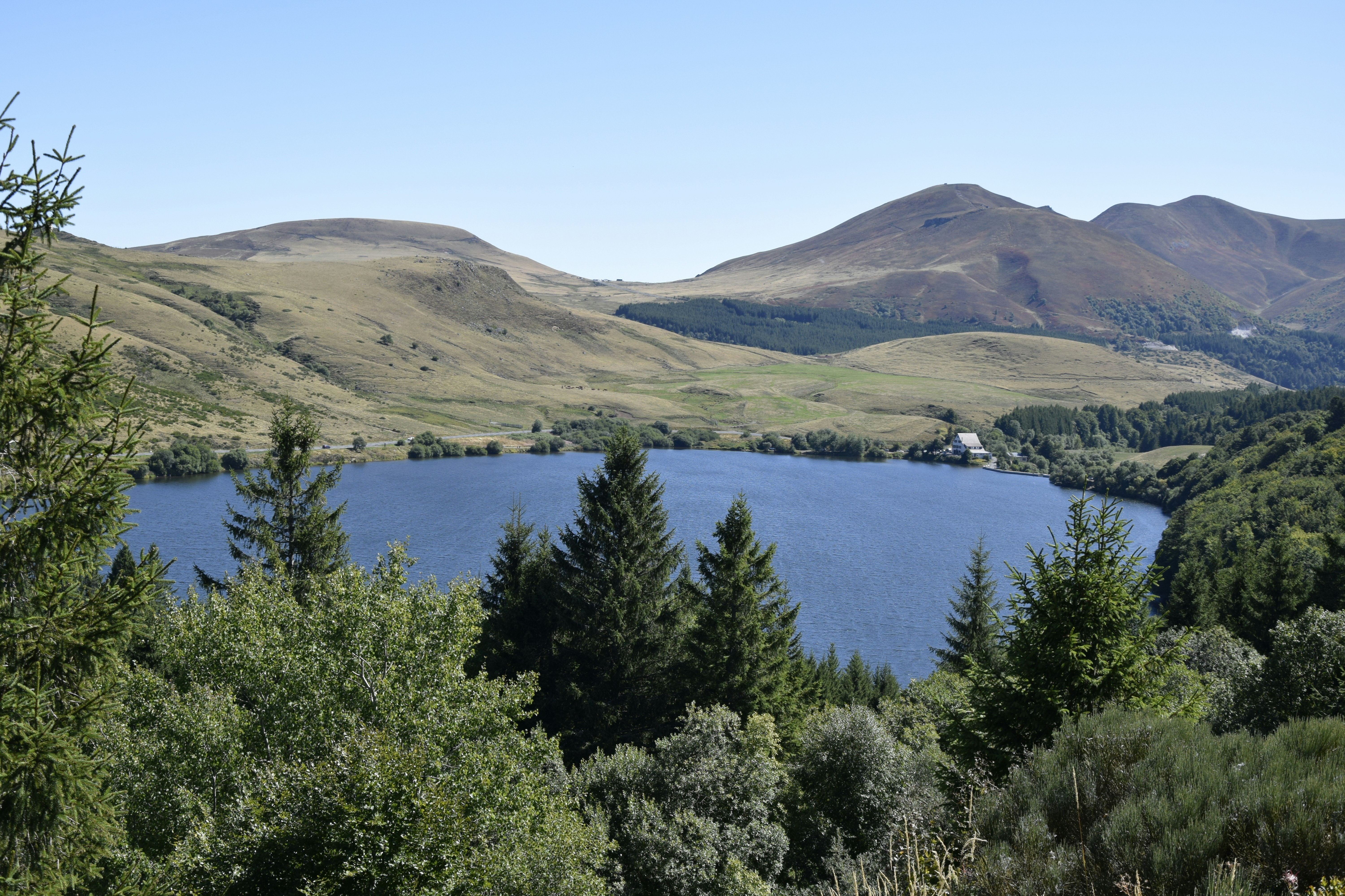 Lac de Guery : arbres verts près du plan d'eau pendant la journée