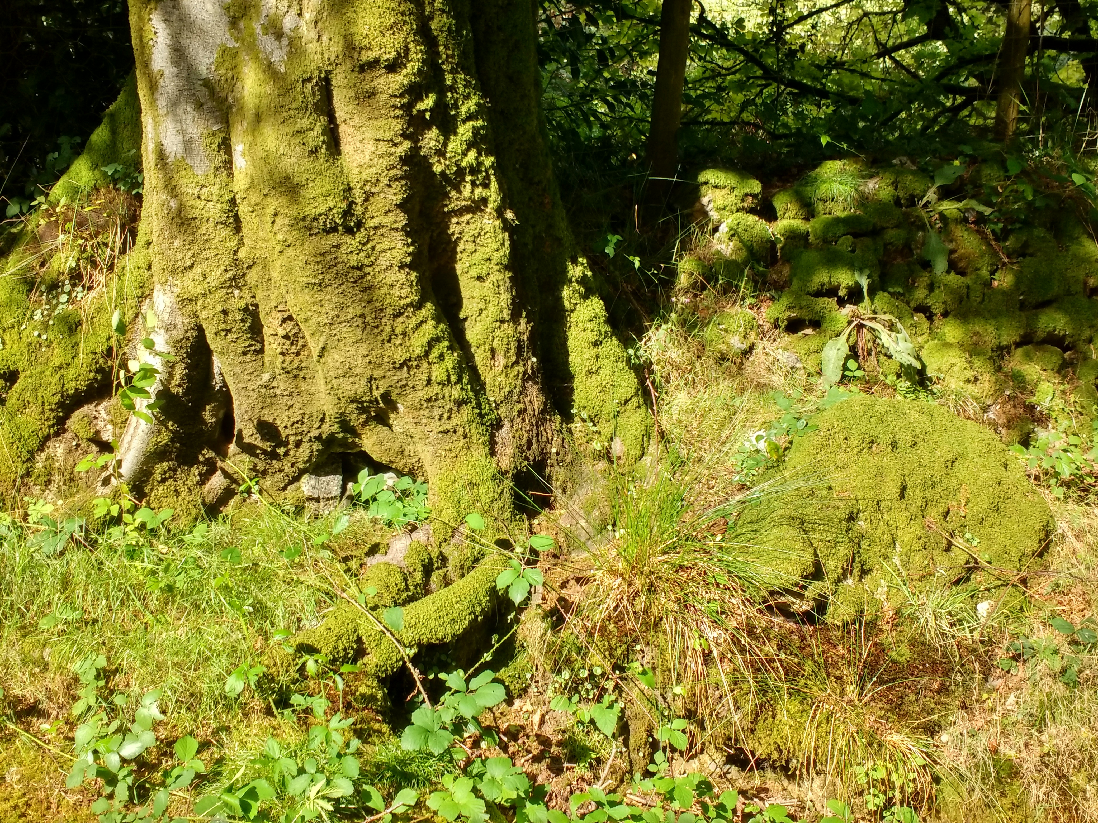 Photo by jeffjameslives