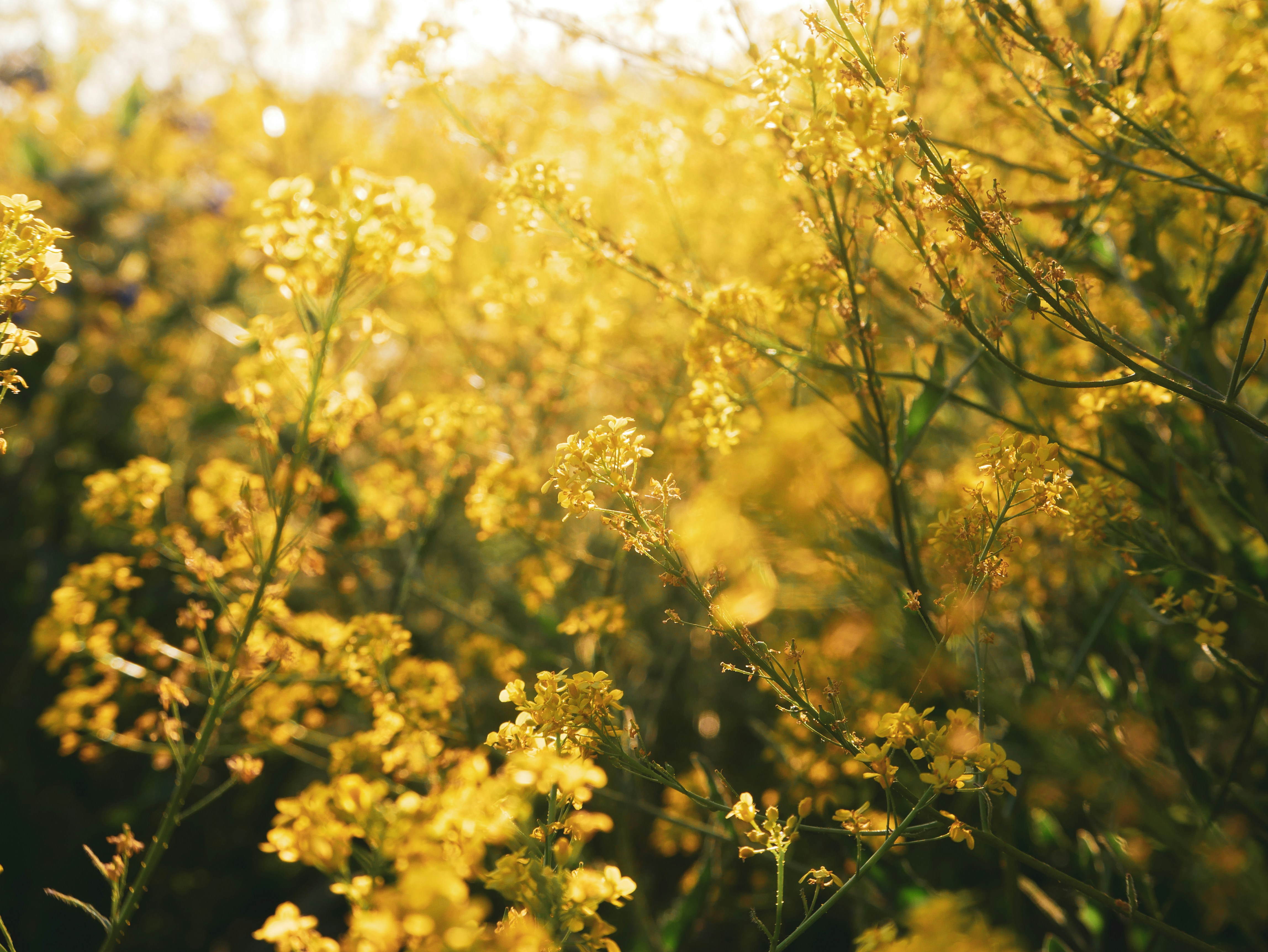 Photo by manda_adnam