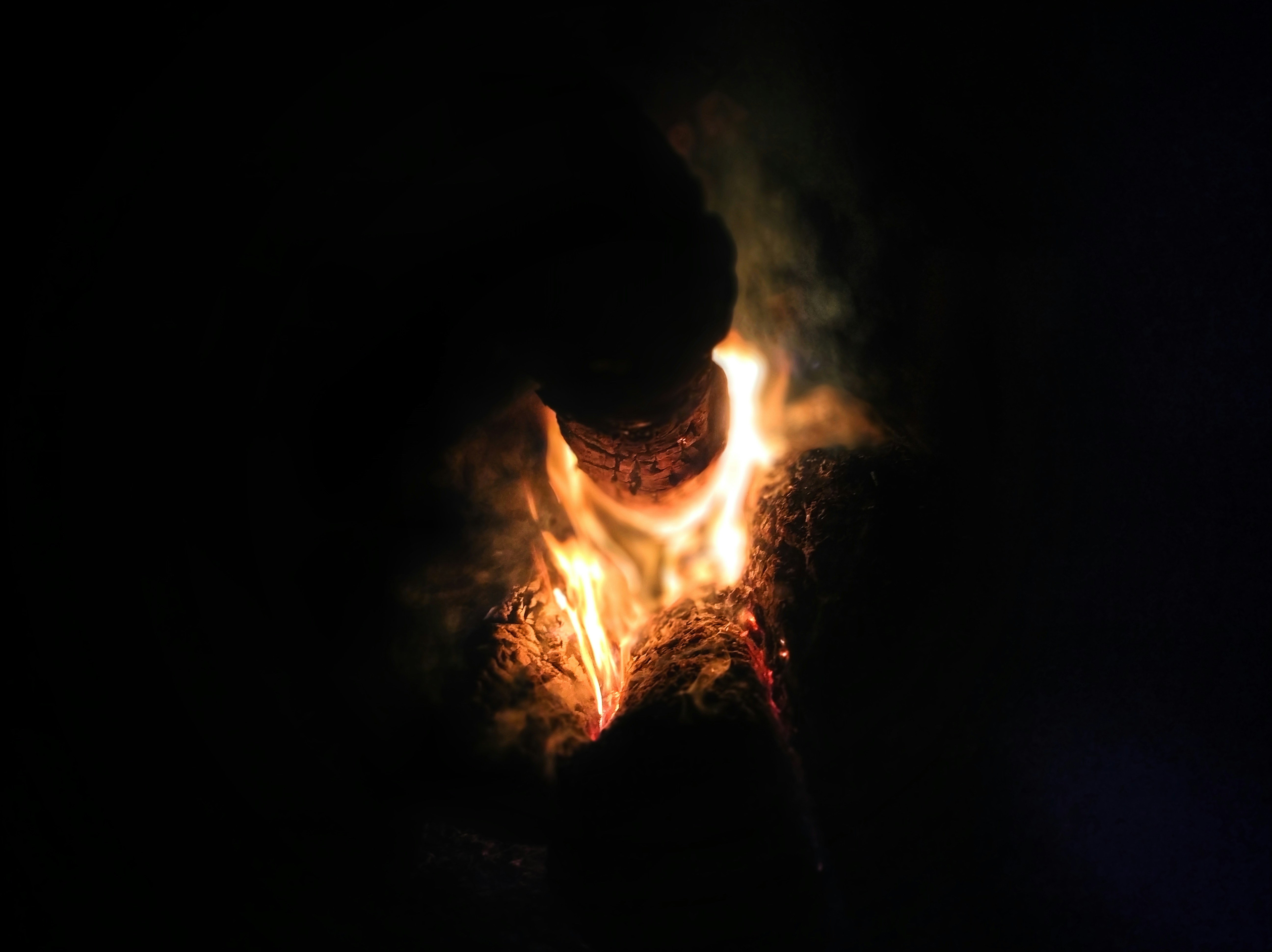 fire in the dark during night time