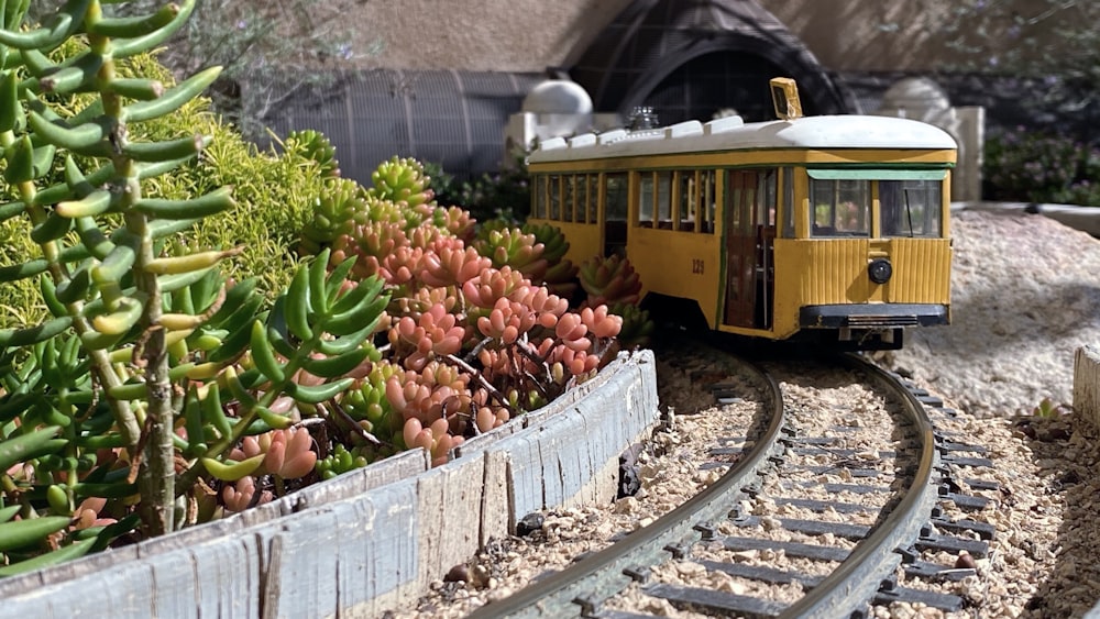 brown wooden train rail with red apple fruits