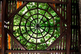 A wooden pergola roof with a geometric, web-like pattern allows sunlight to filter through. Green leaves of vines can be seen growing above and around the structure, casting shadows and creating a natural canopy.