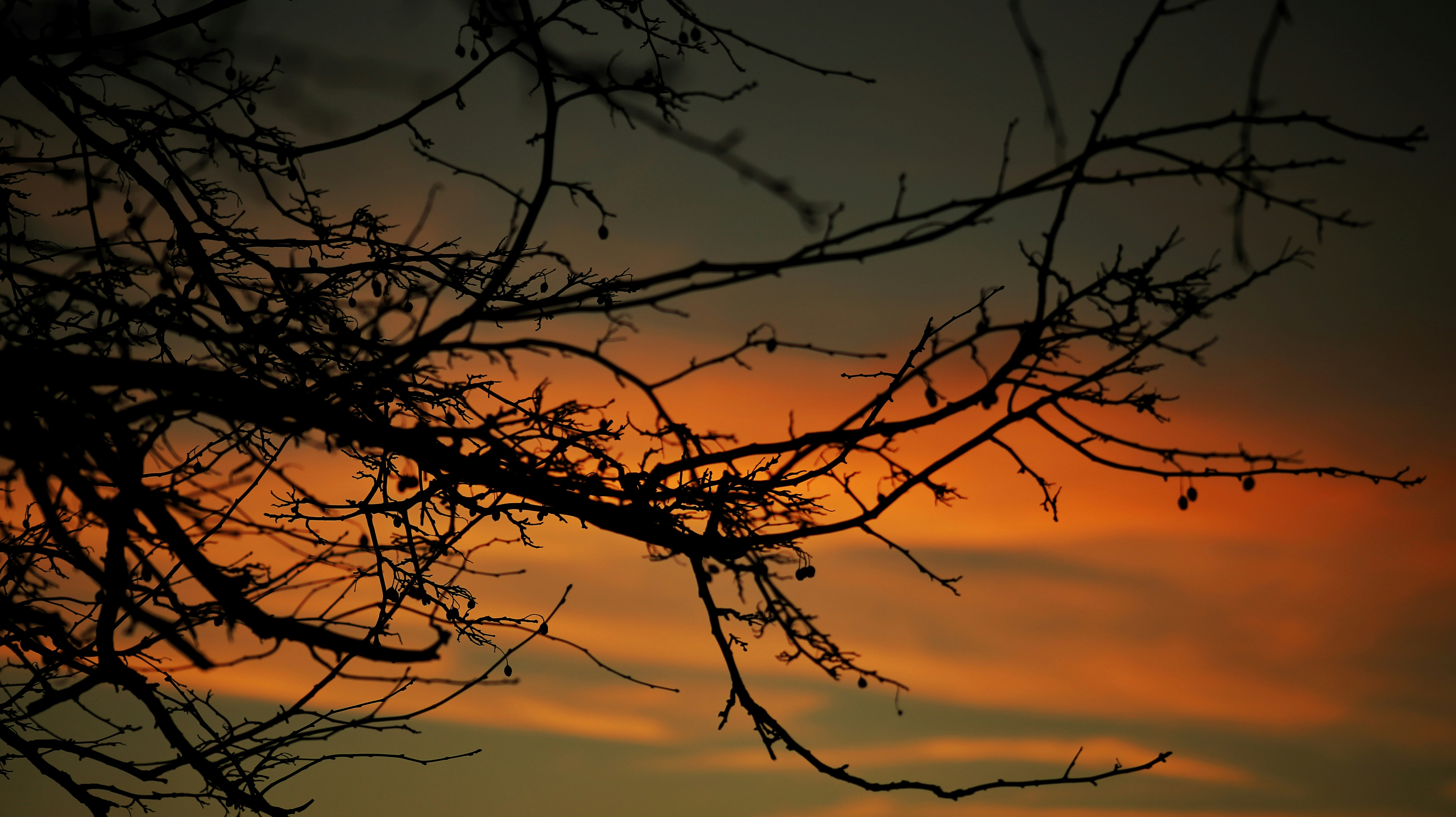 Photo by robertstemler