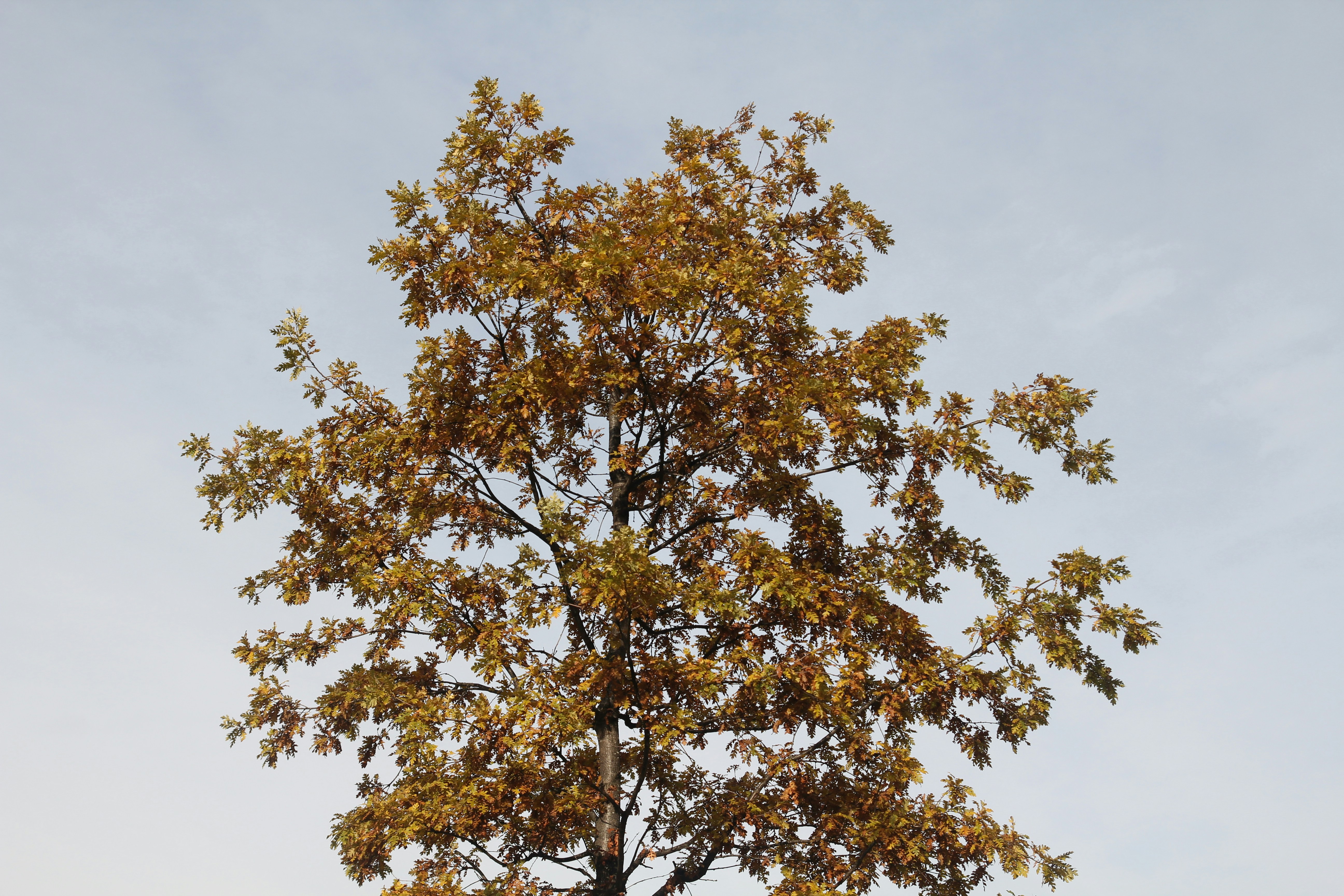 Photo by newmanphotog