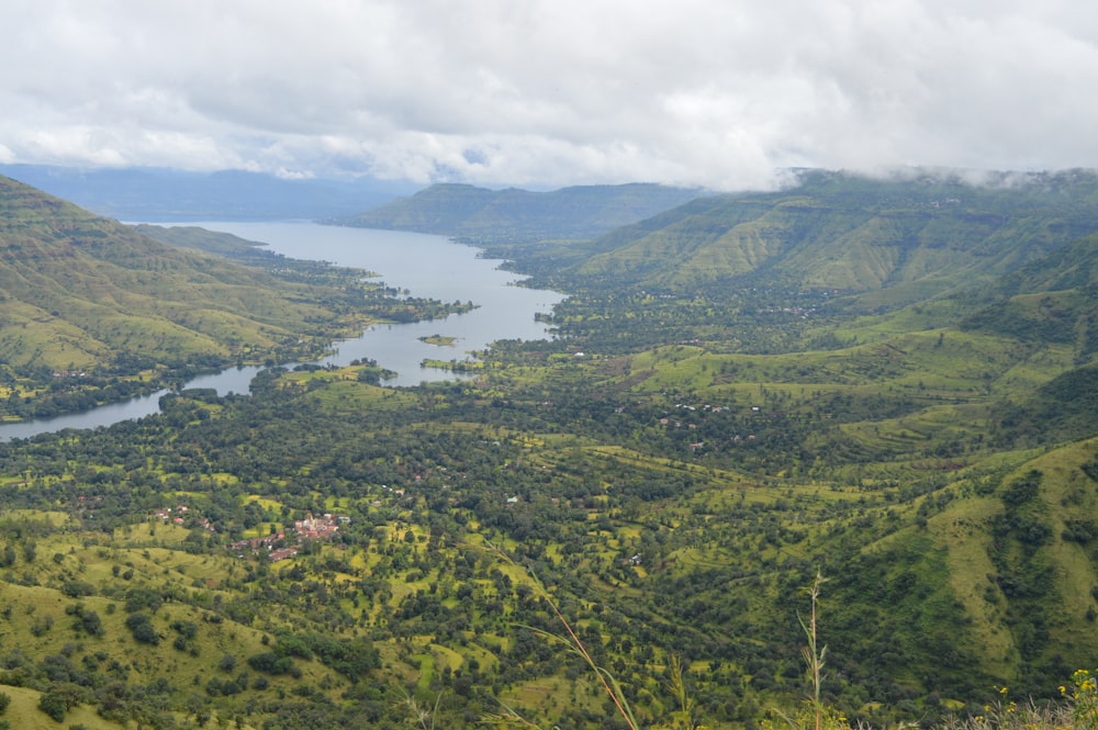 Grüne Bäume auf dem Berg tagsüber unter weißen Wolken