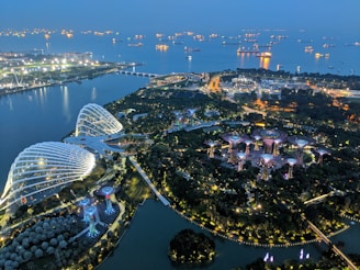 An aerial view of a large urban park at dusk with illuminated structures and dense greenery. The prominent features are futuristic tree-like structures and two large greenhouse-like domes. The waterfront shows numerous vessels and city lights reflecting on the water.