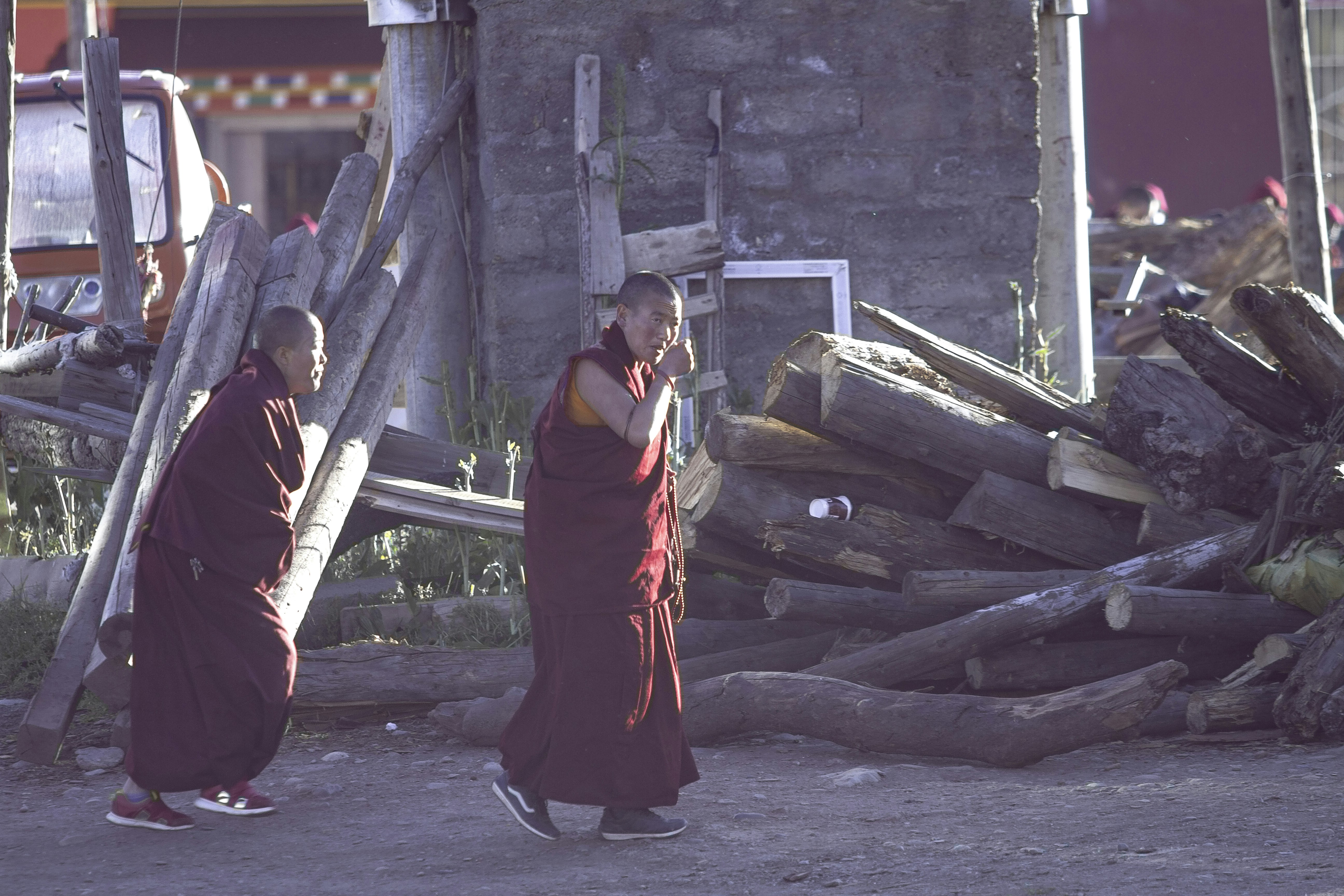 Frau in rotem und grünem Sari in der Nähe von braunem Holzstamm