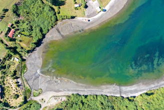 aerial view of green and white lake