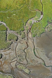 aerial view of green and brown land