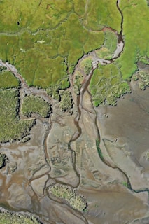 aerial view of green and brown land