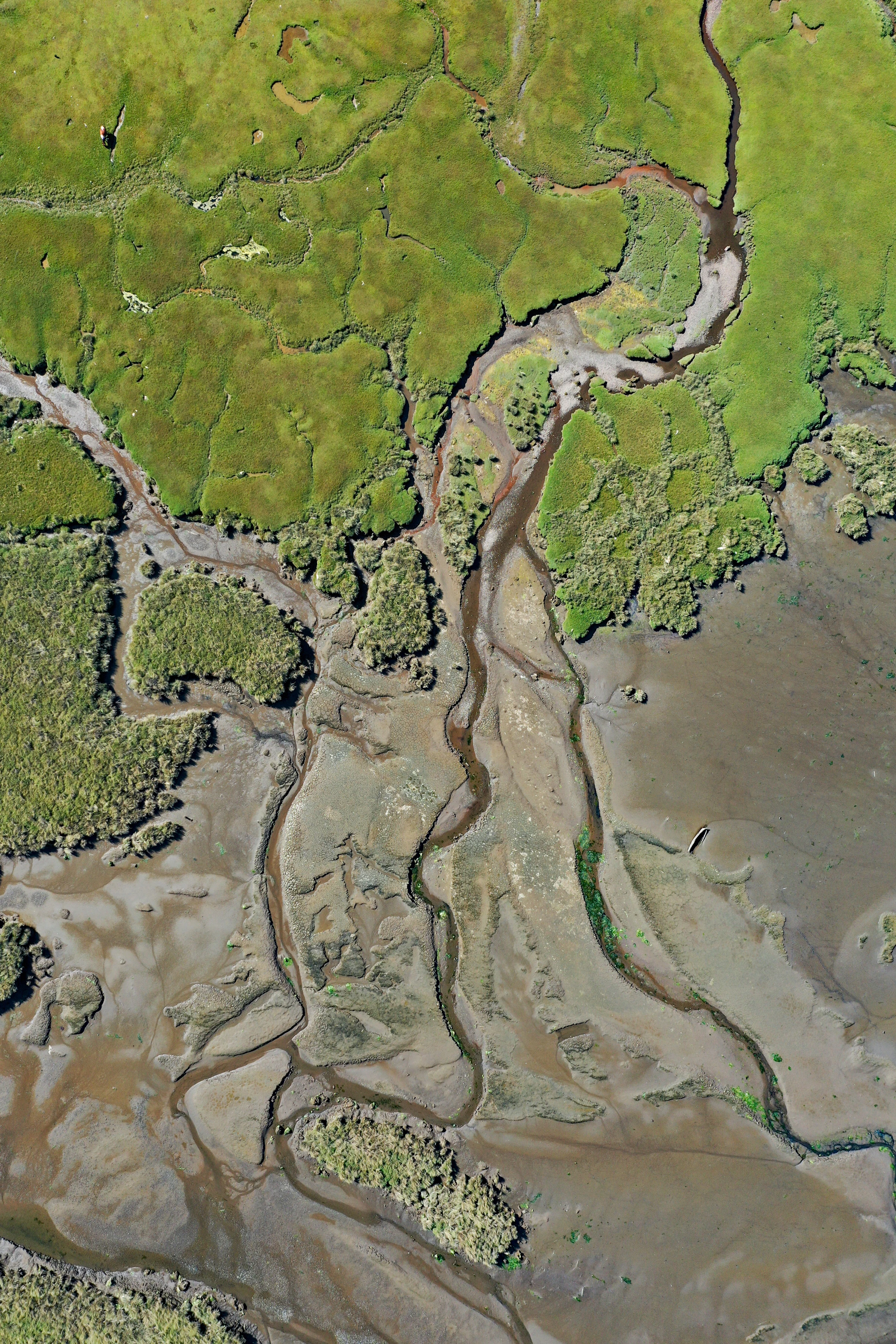 Vista aérea de un territorio, tierra y vegetación desde altura