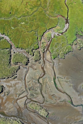 aerial view of green and brown land