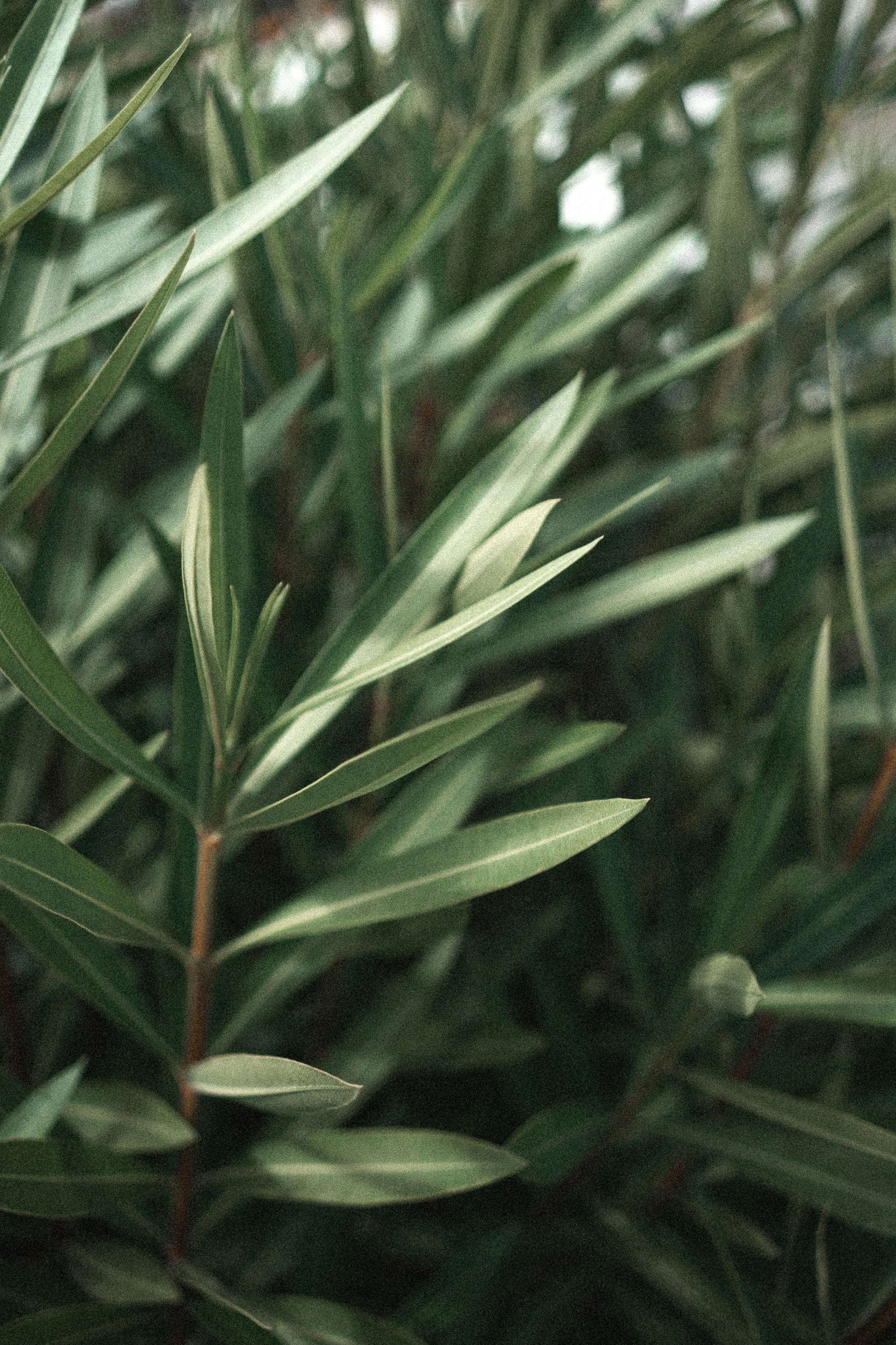 Photo by salvadorgodoyladrero