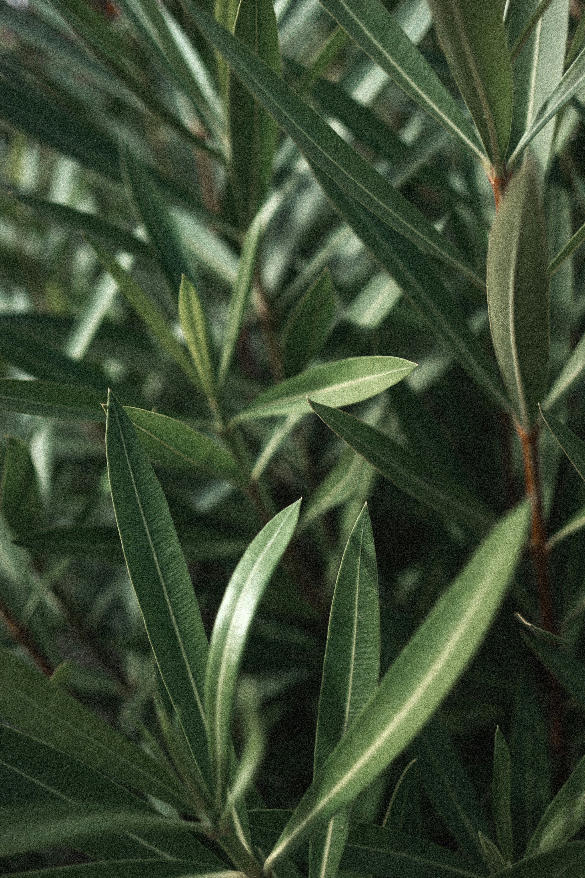 Photo by salvadorgodoyladrero