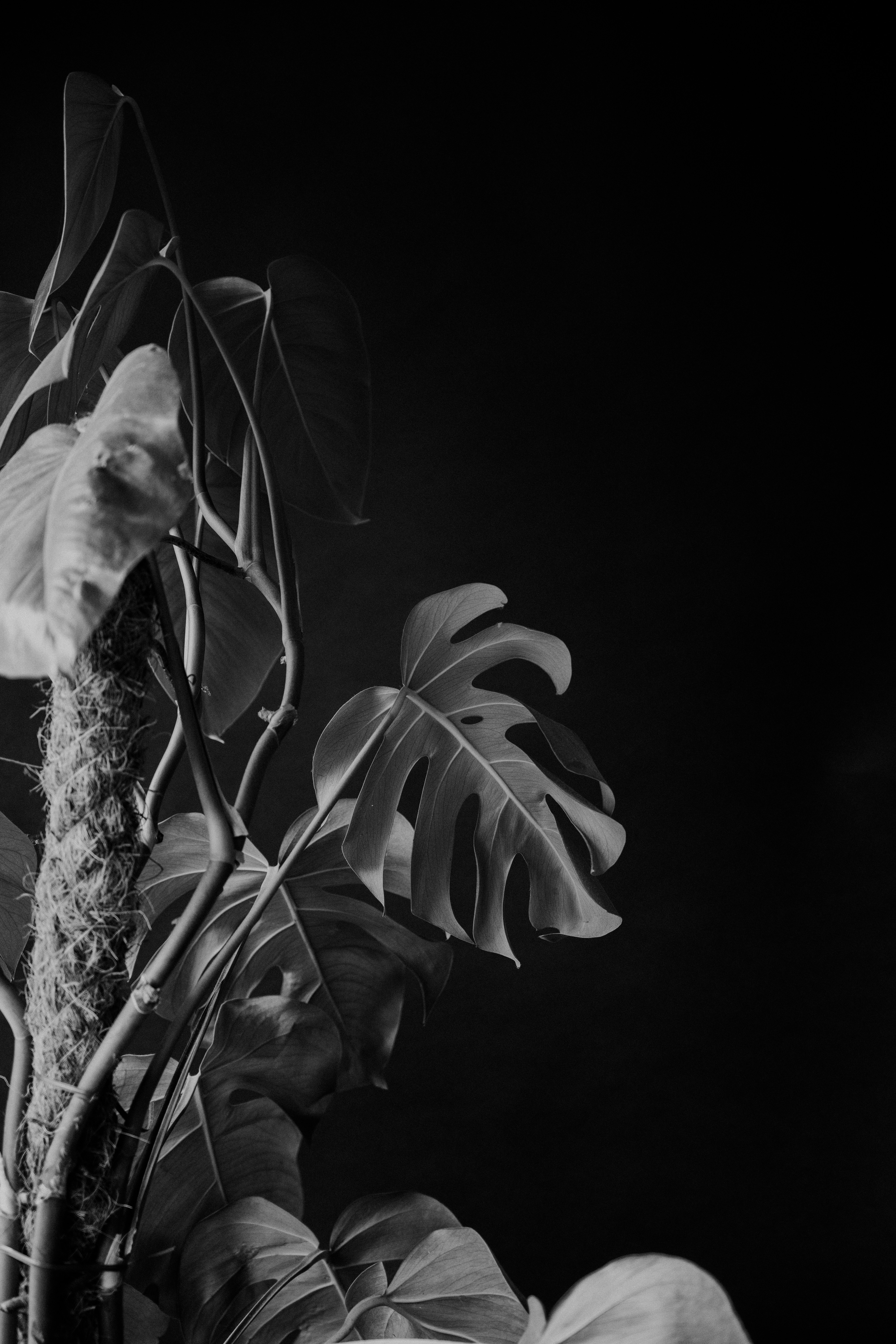 Photo by anniespratt