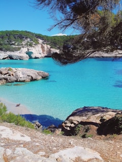 blue body of water near green trees during daytime
