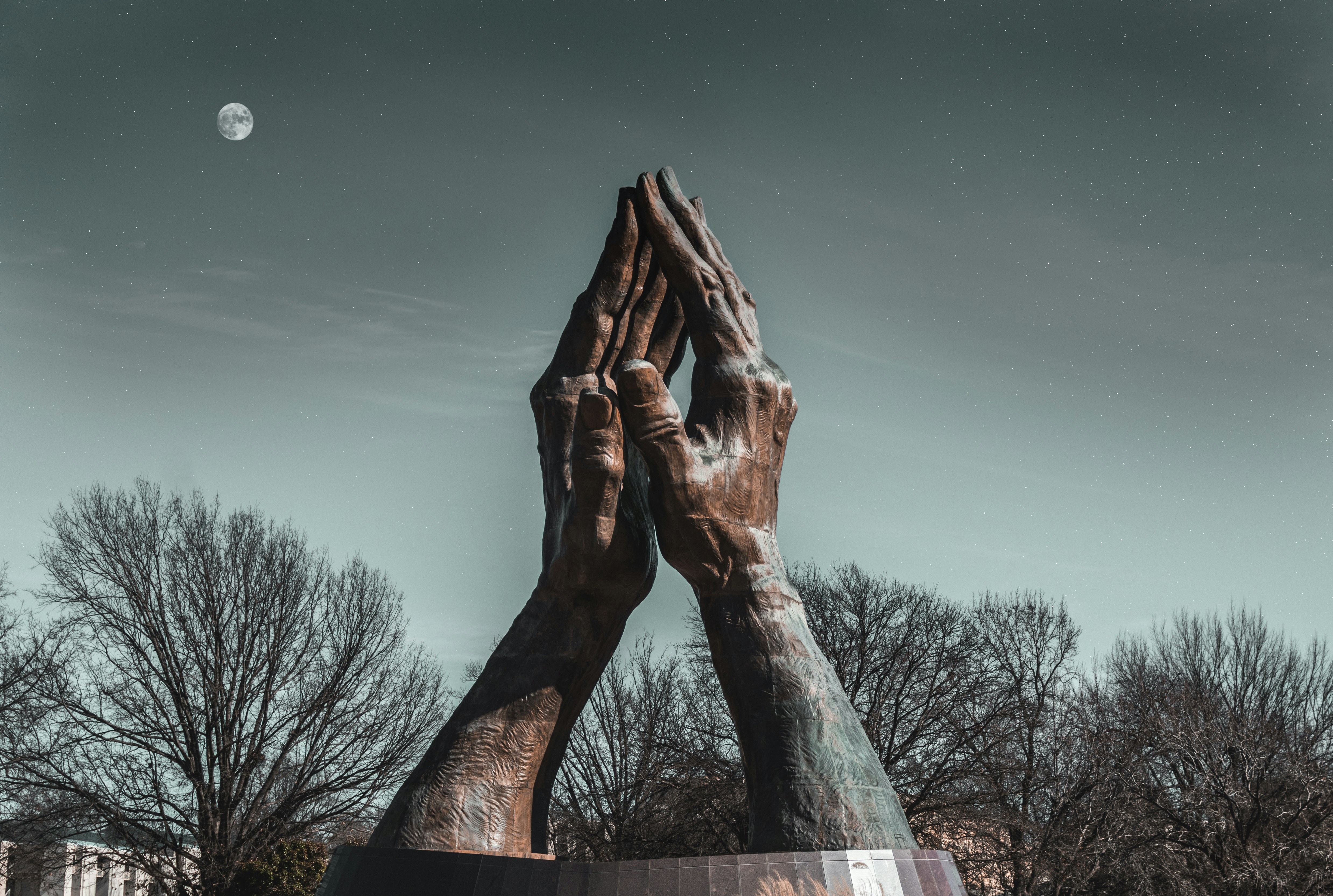 brown tree branch under blue sky during daytime