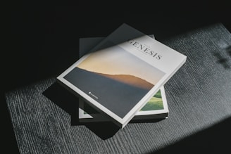 white and blue book on black textile
