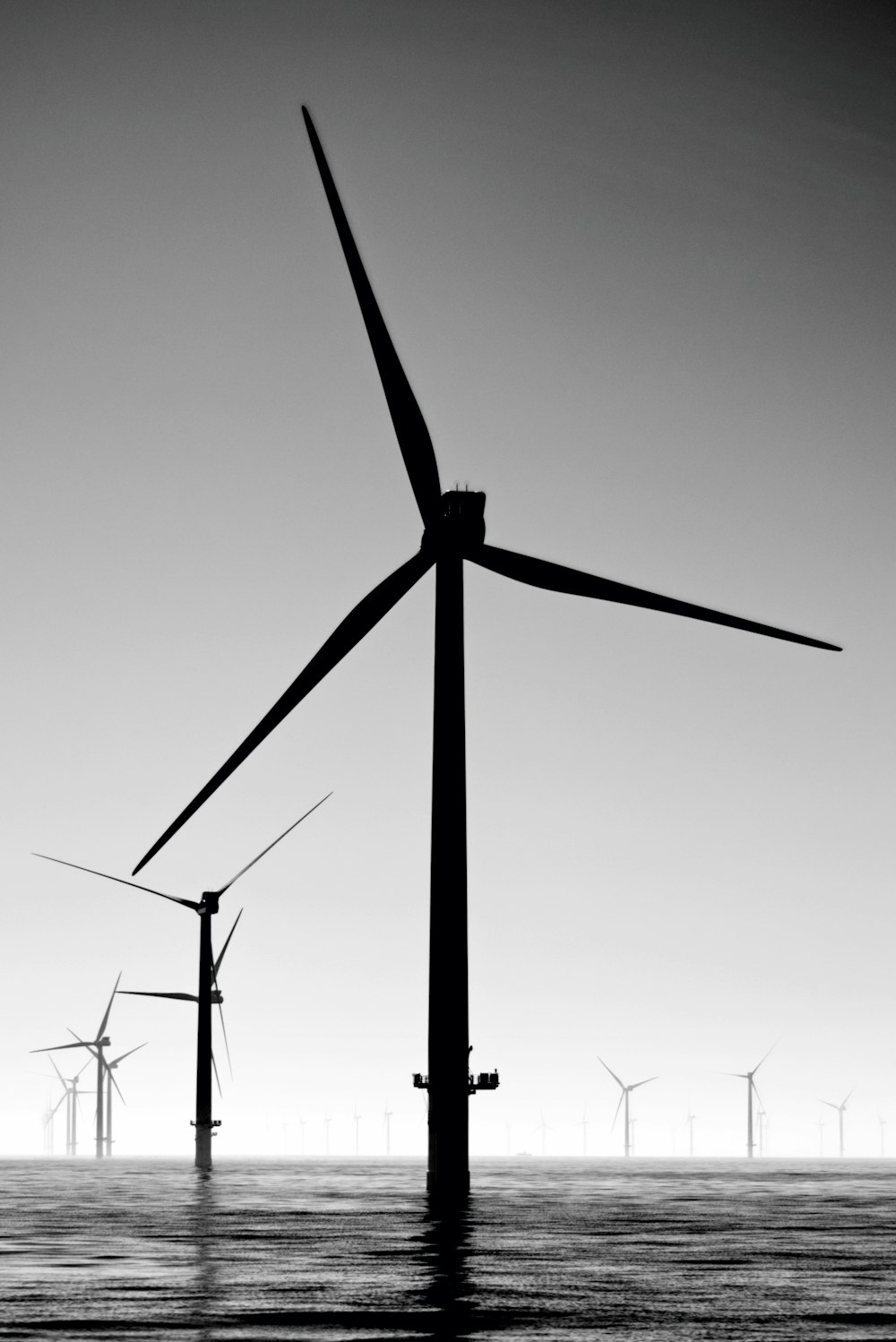 Schwarze Windräder unter grauem Himmel