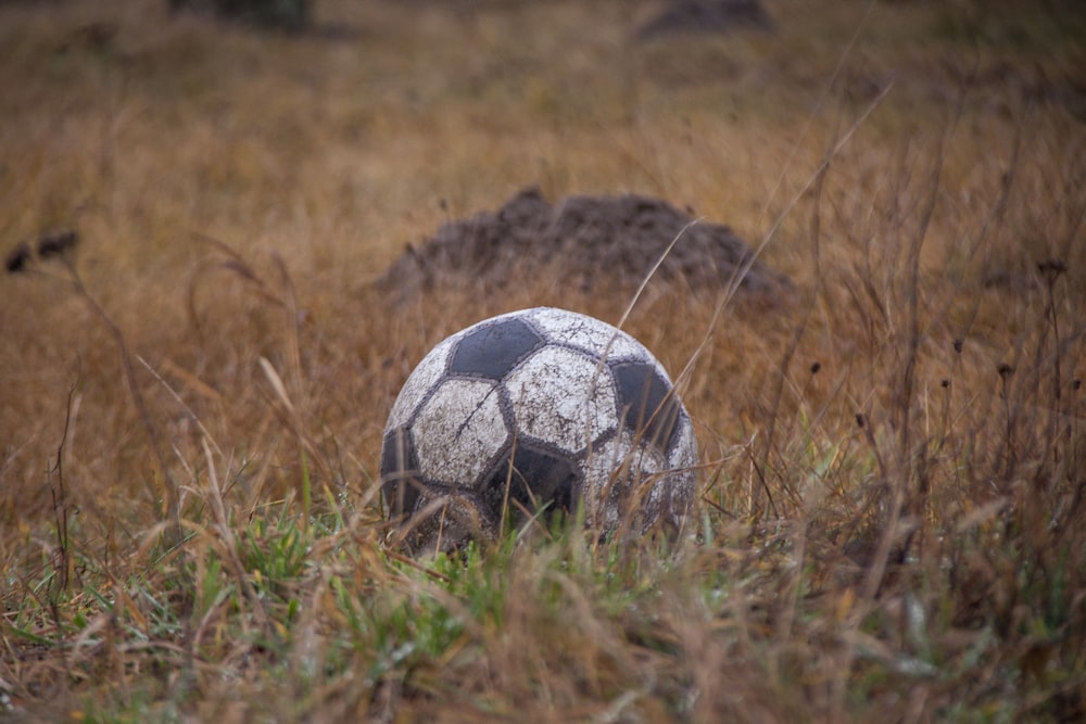 white and black soccer ball on brown grass field during daytime