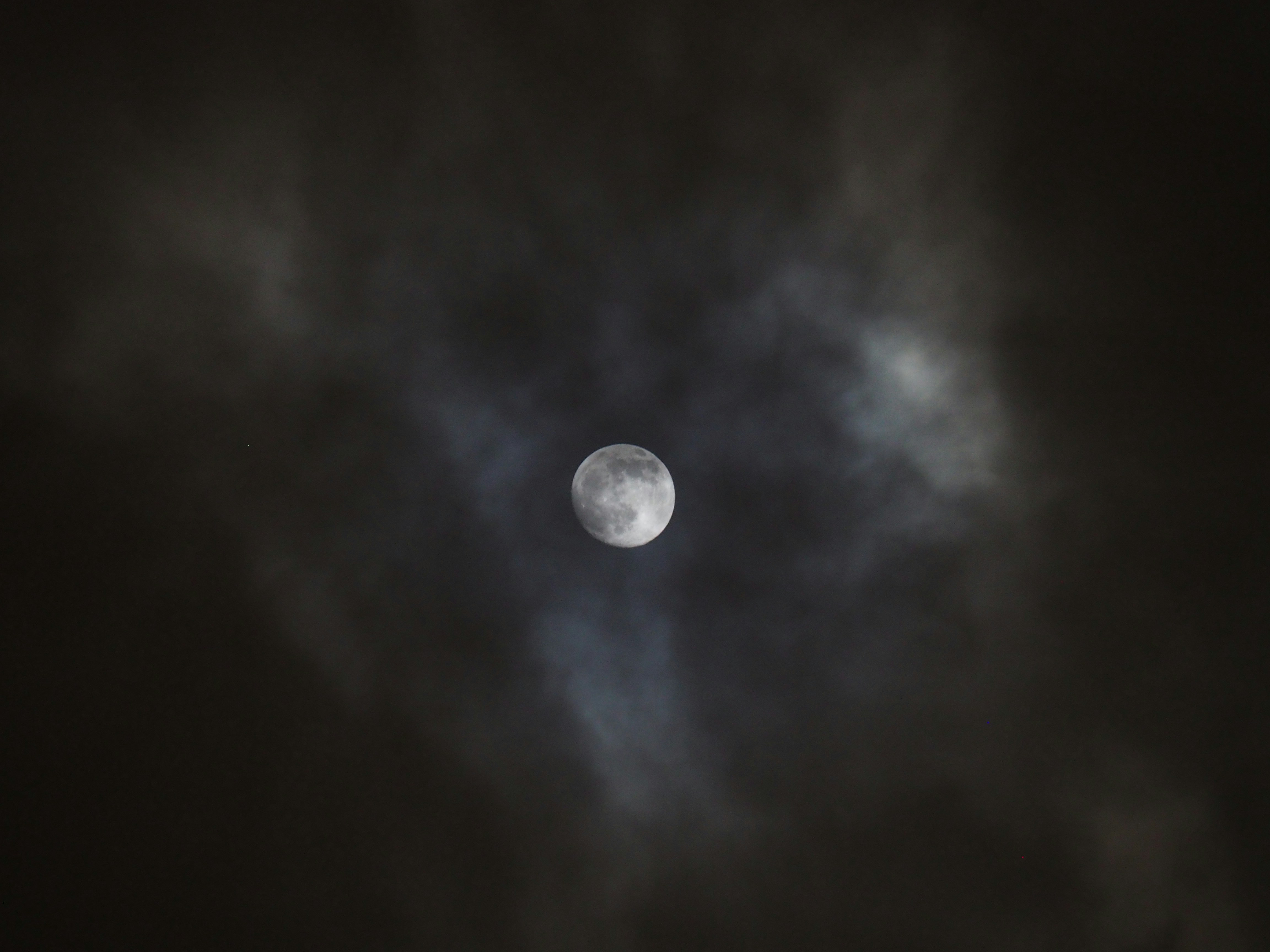 Photo by nimbus_vulpis